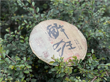2021 醉狂 - 囍字號女兒茶  
