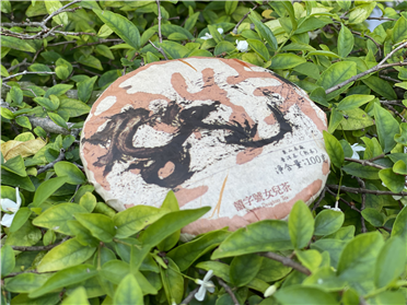 2018 龍餅 - 熟茶 - 囍字號女兒茶 - 100g