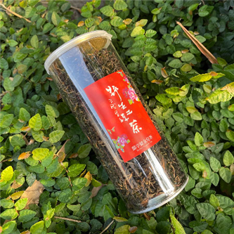 2017 野生紅茶 - 囍字號女兒茶
